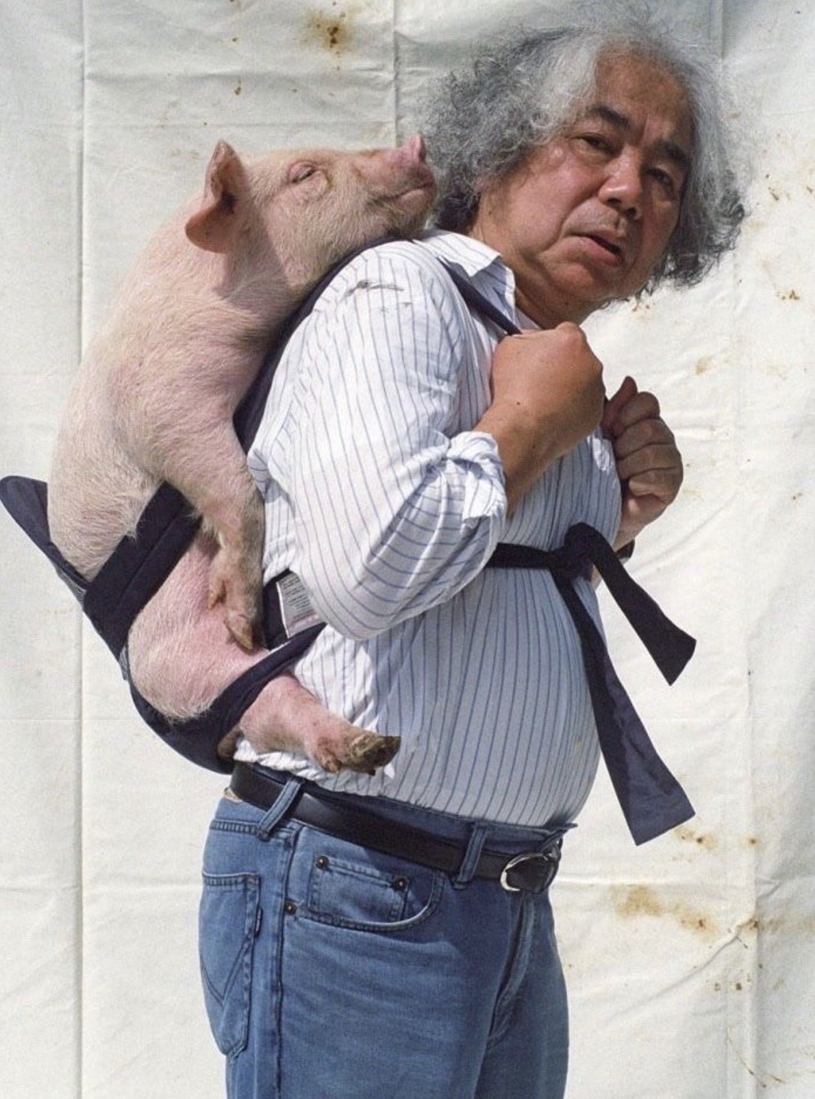 carrying a pig tatsumi orimoto